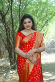Red Handmade Bandhej Kanjivaram Silk Saree