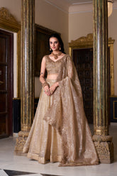 Chikoo Gold Crush Lehenga Set