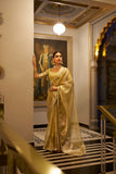 Golden Tissue Shimmer Saree with Sequins Lace Border