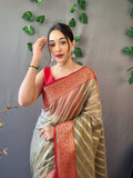Gray Organza Saree in Silk With Rich Pallu