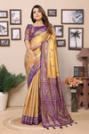 Pista Color Pure Banarasi Tissue Silk Saree with Patola Woven Borders