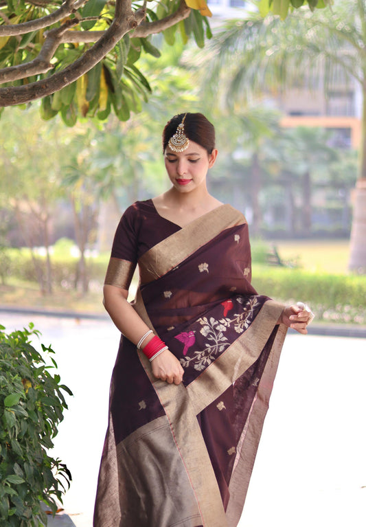 Resham Silk Brown Linen  Saree