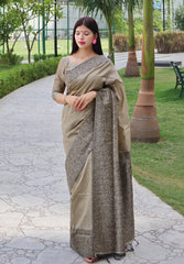 Cream Kalamkari Bangalori Handloom Raw Silk Weaving Saree