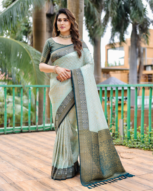 Gray Traditional Kanjivaram Pattu Saree