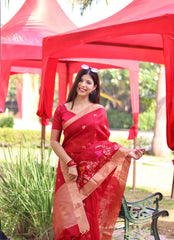 Resham Silk Red Linen Saree