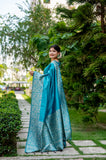 Sky Color Handloom Raw Silk Saree With Blouse