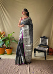 Elegant Black Khicha Checks Saree in Soft Litchi Silk with Rich Pallu, Attractive Border & Exquisite Patterns.