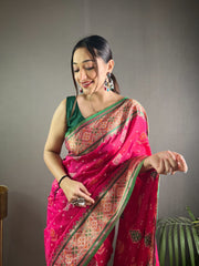 Pink Soft Rangeen Patola Silk Saree