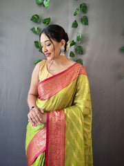 Pista Color Pure Organza Saree with Jacquard Border and Rich Pallu Featuring Luxurious Tassels.