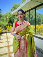 Pista Color Pure Soft Paithani Silk Saree with Rich Woven Paithani Pallu - All-Over 3D Traditional Design Patterns in Gold and Silver Zari.