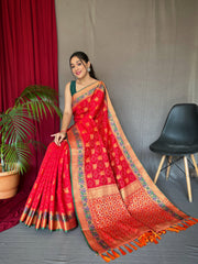 Red Kachii Patola Silk Saree