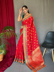 Red Kachii Patola Silk Saree