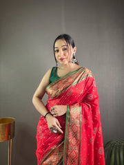 Red Soft Rangeen Patola Silk Saree