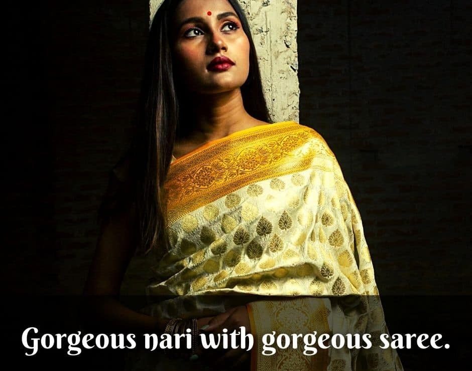 Captions for Stylish and Traditional Sarees